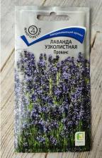 Посадочный Материал Лаванда Прованс узколистная