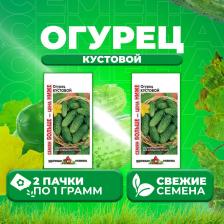 Посадочный Материал Огурец Кустовой