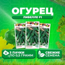 Посадочный Материал Огурец Либелле