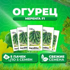 Посадочный Материал Огурец Меренга