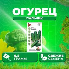 Посадочный Материал Огурец Пальчик