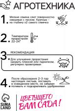 Посадочный Материал Пеларгония Маверик