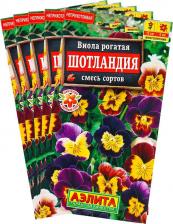 Посадочный Материал Виола Шотландия