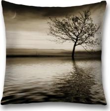 Постельная принадлежность JoyArty Декоративная наволочка sl_17222 поможет создать уют в доме. Изготовлена из плотной и гипоаллергенной ткани оксфорд, хорошо держит форму и не дает