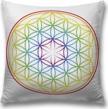 Постельная принадлежность JoyArty Декоративная наволочка sl_28850 поможет создать уют в доме. Изготовлена из плотной и гипоаллергенной ткани оксфорд, хорошо держит форму и не дает