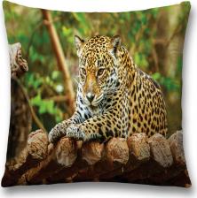 Постельная принадлежность JoyArty Декоративная наволочка sl_37573 поможет создать уют в доме. Изготовлена из плотной и гипоаллергенной ткани оксфорд, хорошо держит форму и не дает