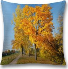 Постельная принадлежность JoyArty Декоративная наволочка sl_37657 поможет создать уют в доме. Изготовлена из плотной и гипоаллергенной ткани оксфорд, хорошо держит форму и не дает