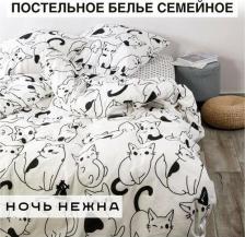 Постельная принадлежность Ночь Нежна Постельное Белье Саймон 70543-1+70544-1 Бязь евро (70х70)