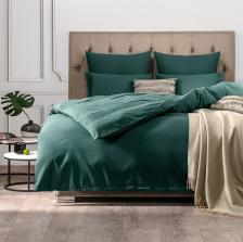 Постельная принадлежность SleepiX Комплект постельного белья Миоко зеленый Полуторный