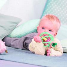 Погремушка Hape Игрушка Погремушка Пастель Яблоко, от 0мес, развивающая [e8500_hp]