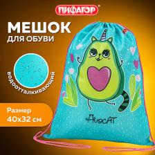 Рюкзак Пифагор Мешок для обуви 271597