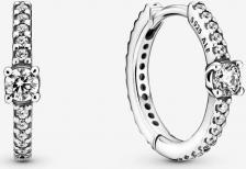 Серьги Pandora 299406C01