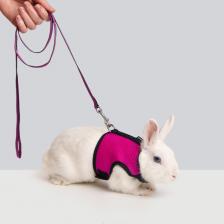 Шлейка для грызунов Petmax Комплект шлейка+поводок для грызунов Air Сплинтер грудь 10мм*330мм, 120см орхидея