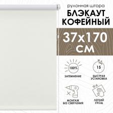 Штора Эскар Рулонная штора Blackout LUX 4690617187407