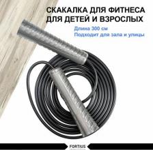 Снаряжение для фитнеса Fortius Скакалка 3 м Серебристый