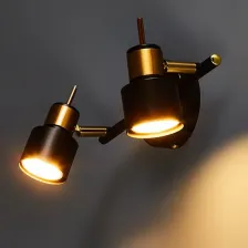 Спот ARTE Lamp A1906PL-2BK