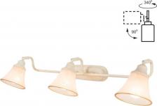 Спот Citilux CL511534