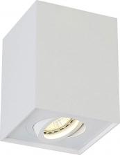 Светильник Crystal Lux CLT 420C WH