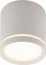 Светильник Denkirs DK4016-WH