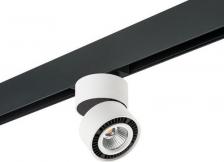 Спот Lightstar 214816