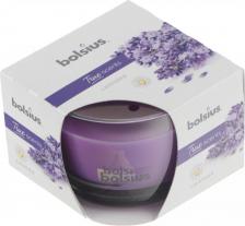 Свеча/подсвечник Bolsius Свеча в стекле ароматическая True scents 63/90 лаванда - время горения 24 часа