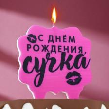 Свеча/подсвечник Страна Карнавалия Свеча для торта "С днем рождения, сучка", 10х10 см, розовая