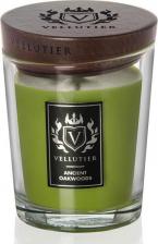 Свеча/подсвечник Vellutier Свеча средняя Древние дубы 225гр / Ancient Oakwoods