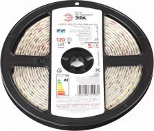 Светодиодная лента Эра LS2835-120LED-IP65-WW-eco-5m