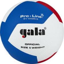 Товар для спорт.игр Gala Мяч волейбольный Pro-Line 12 арт. BV5595SA, р. 5, синт. кожа ПУ Microfiber белый, голубой
