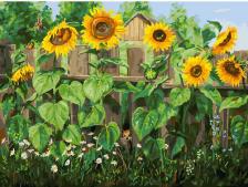 Товары для творчества, хобби Белоснежка Живопись на холсте Подсолнухи. Настроение августа