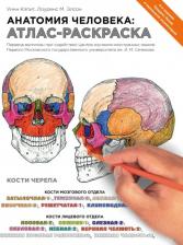 Товары для творчества, хобби Эксмо Книга Анатомия Человека: Атлас-Раскраска
