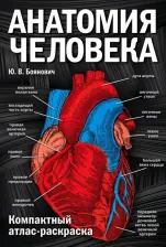 Товары для творчества, хобби Эксмо Книга Анатомия Человека: компактный Атлас-Раскраска