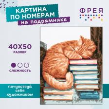 Товары для творчества, хобби Freya Картина Мудрый кот PNB/PL-056