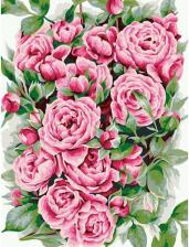 Товары для творчества, хобби Freya Картина по номерам с холстом на подрамнике, PNB/PM-126, 40х30 см "Розарий"