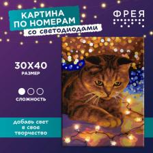 Товары для творчества, хобби Freya Картина по номерам со светодиодами с холстом на подрамнике 40 х 30 см "Котик с огоньками" PNB/PMDD-188