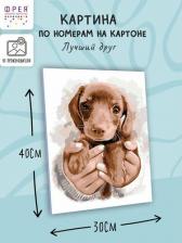 Товары для творчества, хобби Freya Набор для раскрашивания по номерам PKZ/PM-011 Лучший друг 40x30