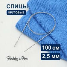 Товары для творчества, хобби Hobby&Pro Спицы круговые металл 100см, 2,5мм 941125