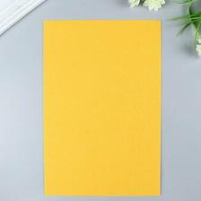 Товары для творчества, хобби Ideal Фетр листовой жесткий 1мм 20х30см арт.FLT-H1 уп.10 листов цв.640 апельсин