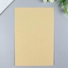 Товары для творчества, хобби Ideal Фетр листовой жесткий 1мм 20х30см арт.FLT-H1 уп.10 листов цв.641 св.бежевый