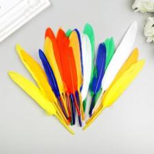 Товары для творчества, хобби Остров Сокровищ Перья декоративные прямые (10 - 15 см), 24 штуки, 6 цветов, яркие