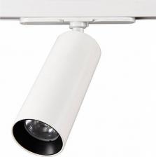 Светильник Citilux CL01T120N