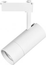 Светильник Lightstar 229346
