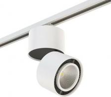 Светильник Lightstar A1T213830