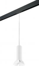 Трековая система освещения Lightstar PRORP496436