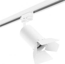 Светильник Lightstar R1T437437