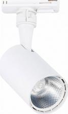 Светильник ST Luce ST351.546.10.36