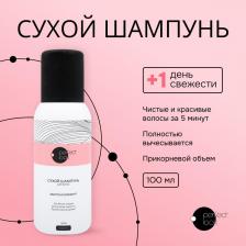 Шампунь Арнест Перфект Лук сухой шампунь 100мл