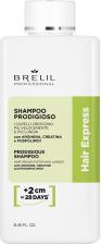 Шампунь Brelil Hair Express Treatment Prodigious Shampoo