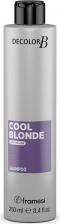 Шампунь Framesi Шампунь для холодных оттенков блонд Cool Blonde Anti Yellow Shampoo, 250 мл