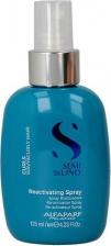 Спрей Alfaparf Milano Спрей для кудрявых и вьющихся волос SDL CURLS REACTIVATING SPRAY, 125 мл
